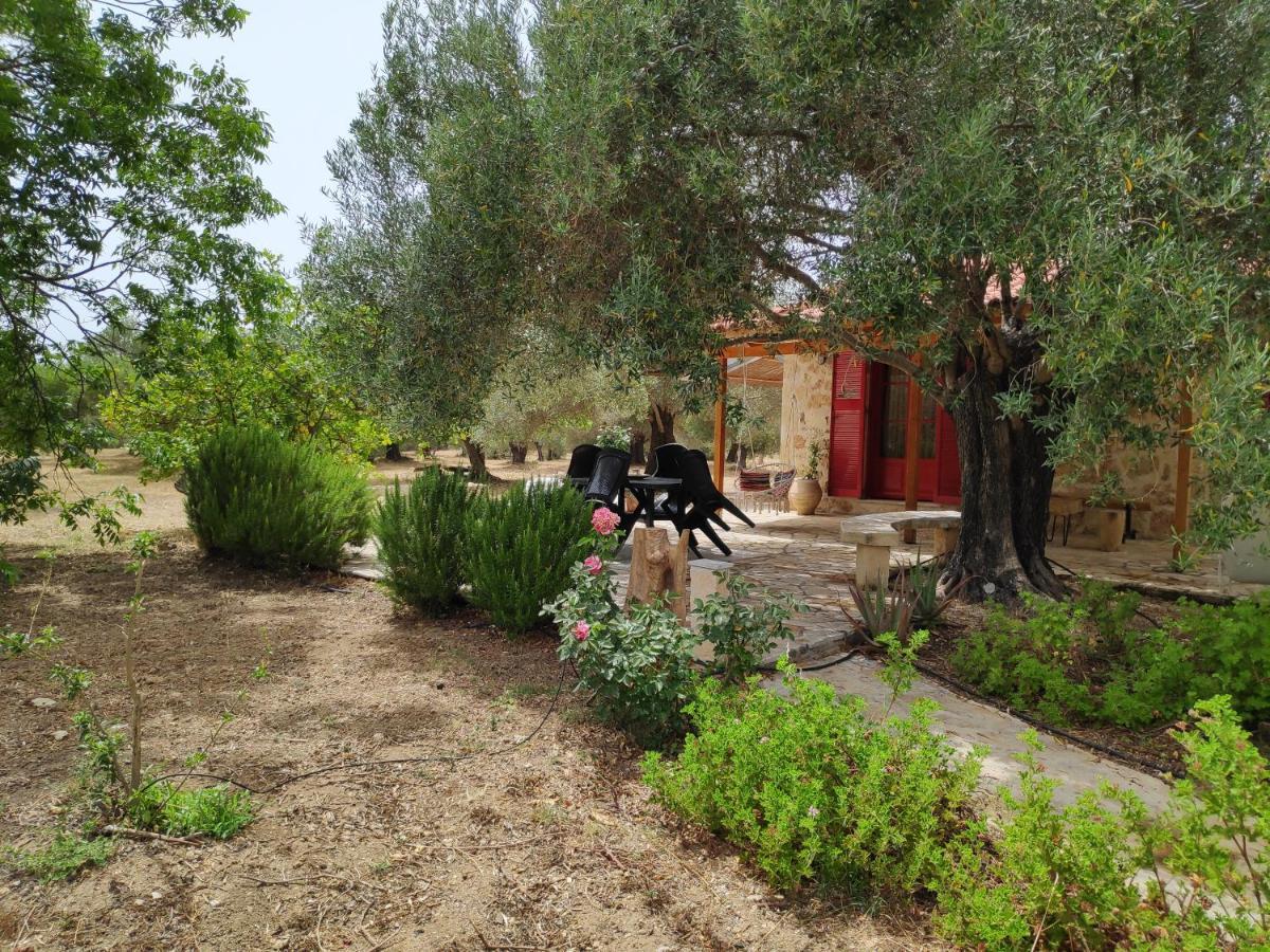 Villa Dreamy Stone House à Pesádha Extérieur photo